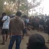 Dugaan Judi Sabung Ayam Disebut Rutin Berlangsung di Padang Lambe, Warga Minta Polisi Bertindak