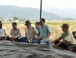 PT MDA Dukung Petani Hadapi Kekeringan, Dinas Pertanian Luwu Beri Apresiasi